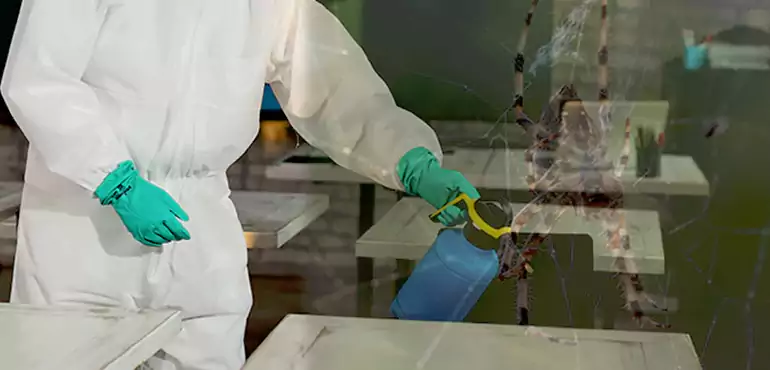 Why Buyers Still Want Homes With Pest Infestations in Visalia, CA?