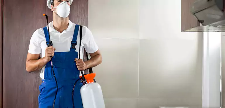 Why Visalia Homeowners Choose Us When Pests Make Selling Difficult
