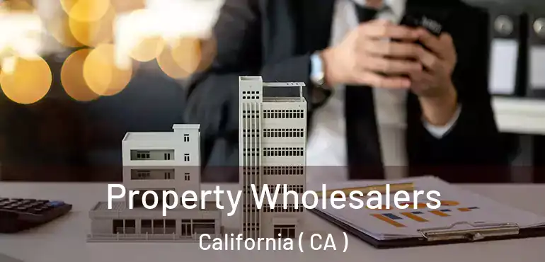  Property Wholesalers California ( CA )