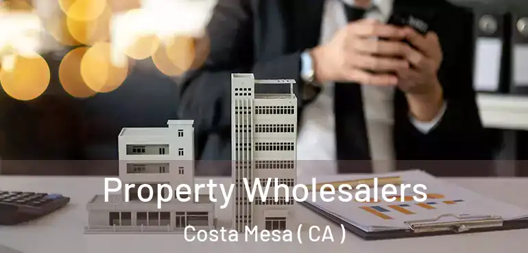  Property Wholesalers Costa Mesa ( CA )