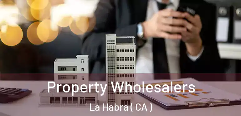  Property Wholesalers La Habra ( CA )