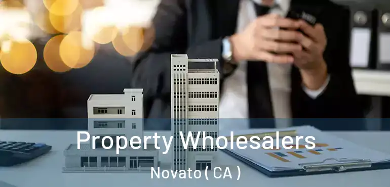  Property Wholesalers Novato ( CA )