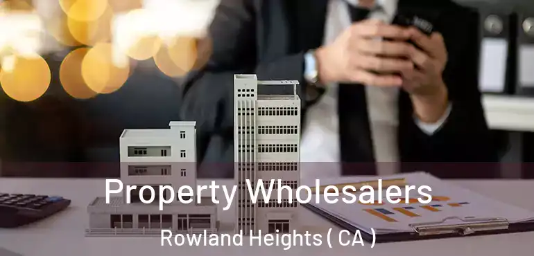  Property Wholesalers Rowland Heights ( CA )