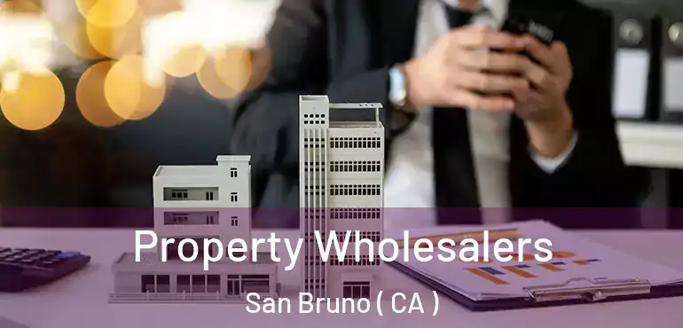  Property Wholesalers San Bruno ( CA )