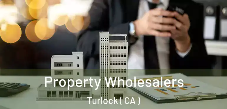  Property Wholesalers Turlock ( CA )
