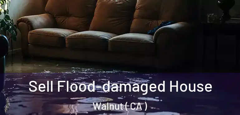  Sell Flood-damaged House Walnut ( CA )