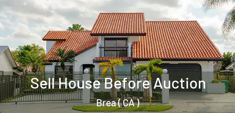  Sell House Before Auction Brea ( CA )