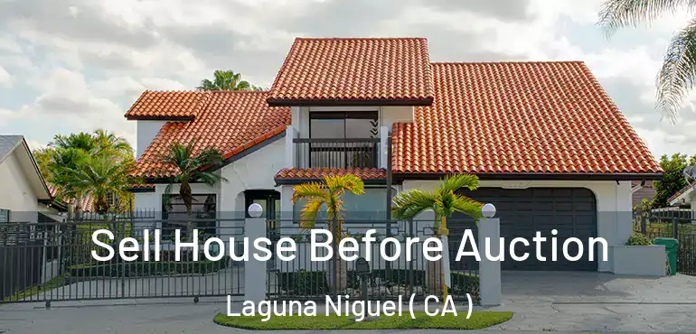  Sell House Before Auction Laguna Niguel ( CA )