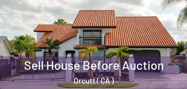  Sell House Before Auction Orcutt ( CA )
