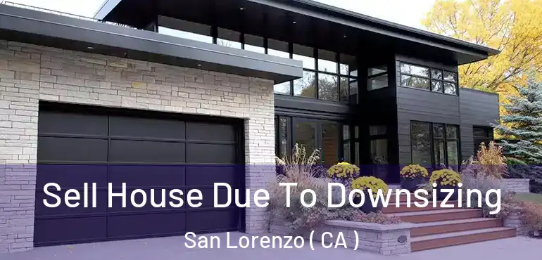  Sell House Due To Downsizing San Lorenzo ( CA )