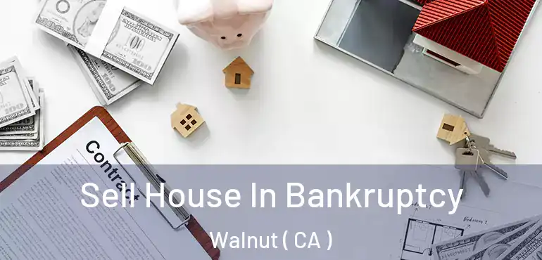  Sell House In Bankruptcy Walnut ( CA )