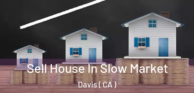  Sell House In Slow Market Davis ( CA )