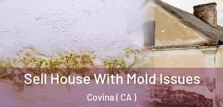  Sell House With Mold Issues Covina ( CA )
