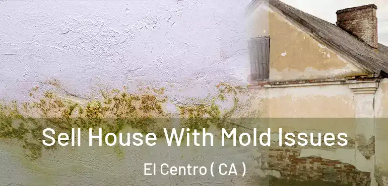  Sell House With Mold Issues El Centro ( CA )