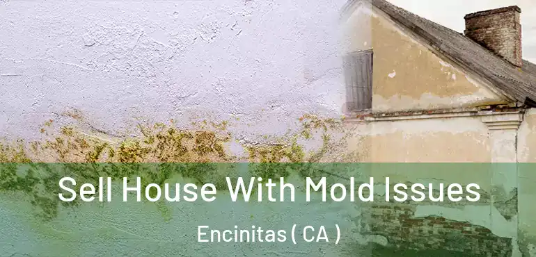  Sell House With Mold Issues Encinitas ( CA )