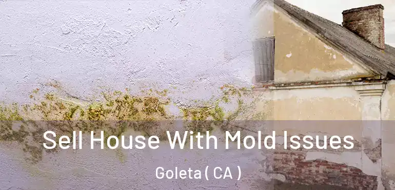  Sell House With Mold Issues Goleta ( CA )