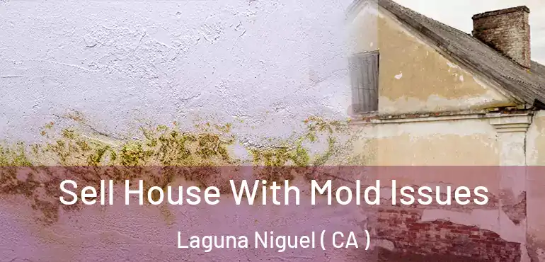  Sell House With Mold Issues Laguna Niguel ( CA )