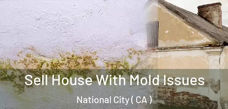  Sell House With Mold Issues National City ( CA )