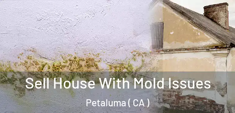 Sell House With Mold Issues Petaluma ( CA )
