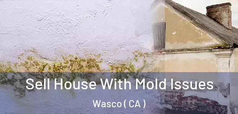  Sell House With Mold Issues Wasco ( CA )