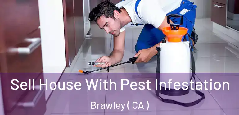  Sell House With Pest Infestation Brawley ( CA )