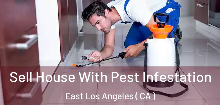  Sell House With Pest Infestation East Los Angeles ( CA )