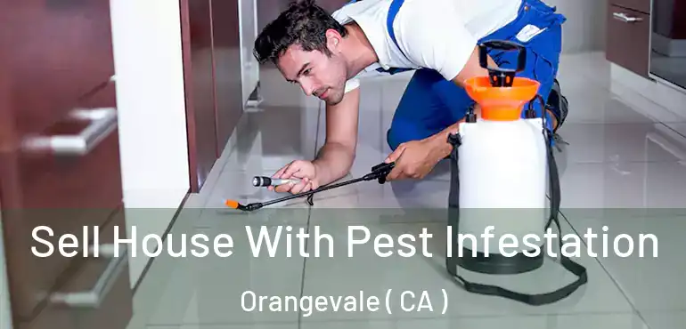  Sell House With Pest Infestation Orangevale ( CA )