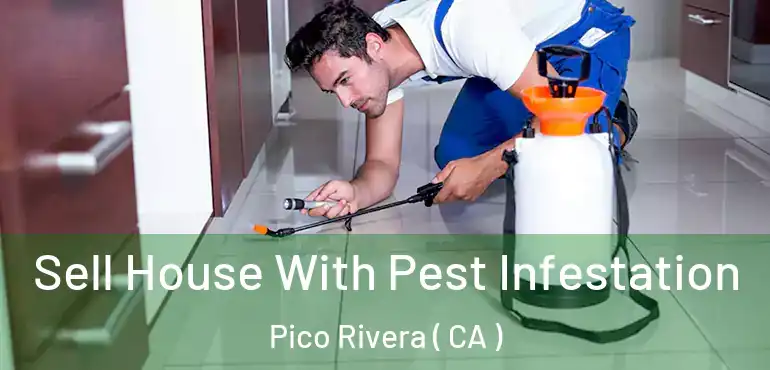  Sell House With Pest Infestation Pico Rivera ( CA )